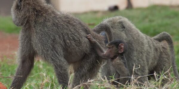 5190726963_9a6376c5b0_c 5190726963_9a6376c5b0_c