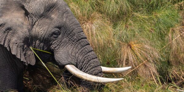 52287172443_37158841a2_c 52287172443_37158841a2_c