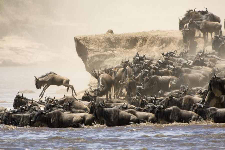 7 Day Best of Kenya Tour